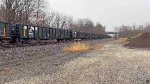 AOK 41414 is new to rrpa.
